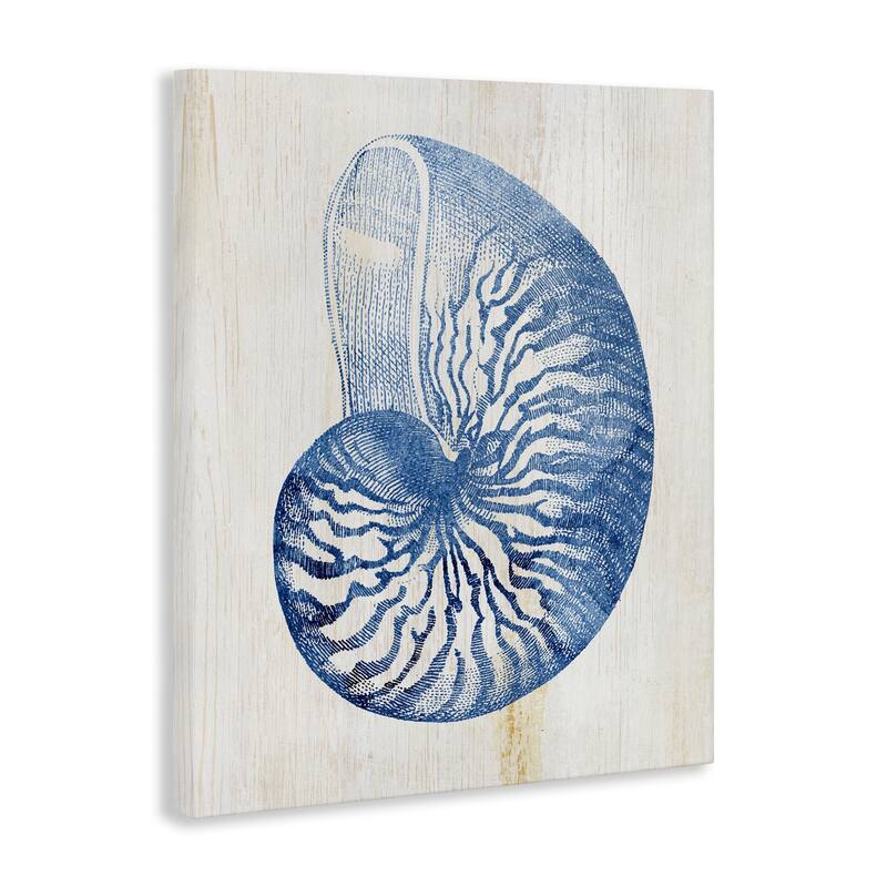 Stupell Blue Nautilus Shell Canvas Wall Art Design By Susan Arnot