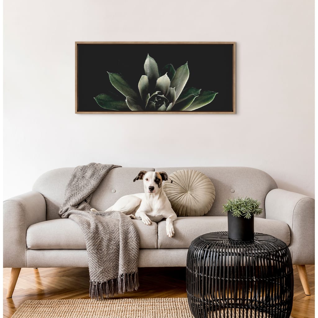 Kate and Laurel Sylvie Succulent by Emiko and Mark Franzen of F2Images