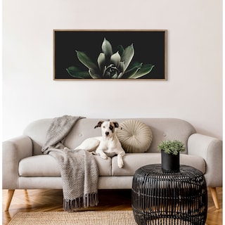 Kate and Laurel Sylvie Succulent by Emiko and Mark Franzen of F2Images