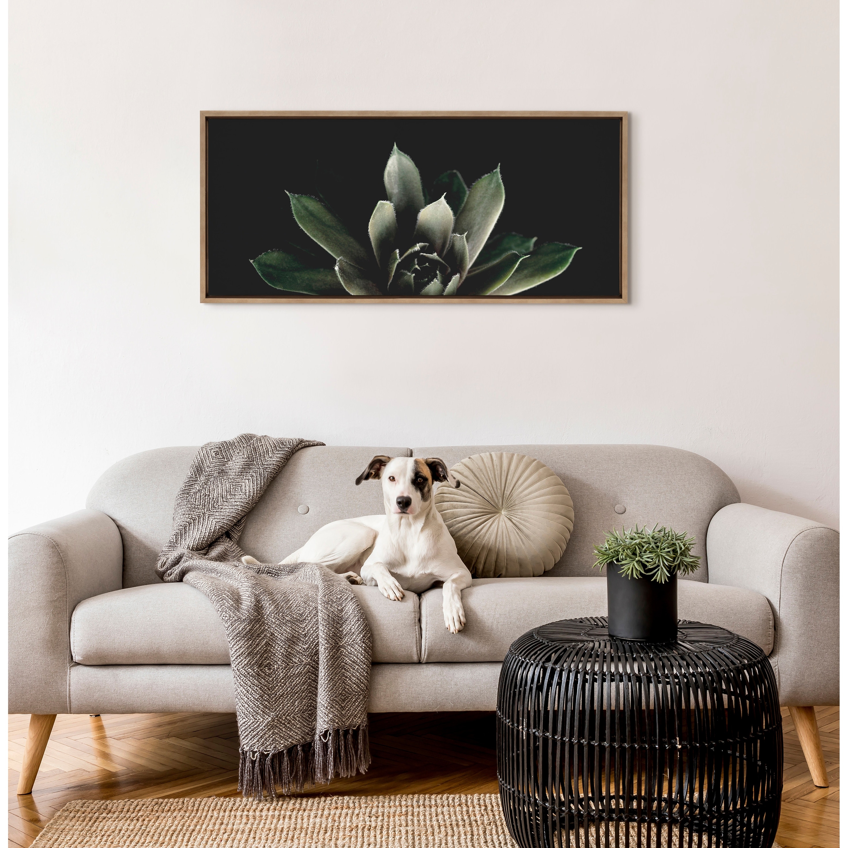 Kate and Laurel Sylvie Succulent by Emiko and Mark Franzen of F2Images
