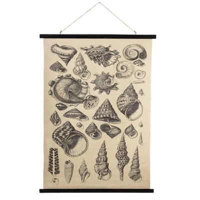 Midwest CBK Seashell Varieties Printed Canvas Wall Decor 41.25 Inches - Multi