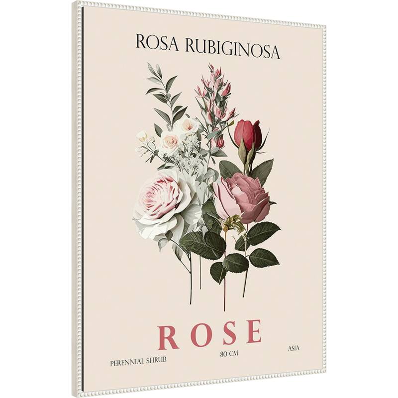 Vintage Botanical Rose Illustration by Christopher Giampietro Framed Canvas Wall Art Print