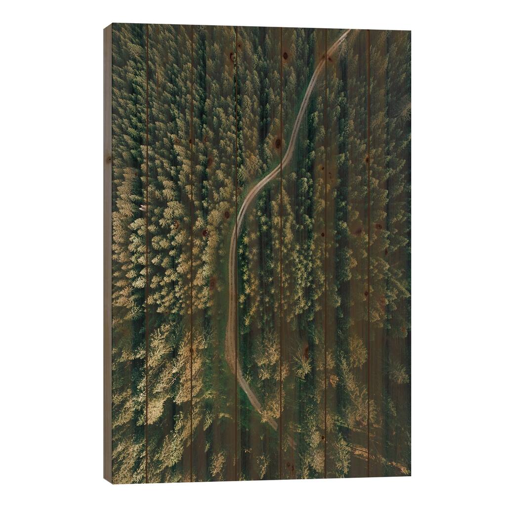 Street Through The Forest II Print On Wood by Sebastian Hilgetag - Multi-Color