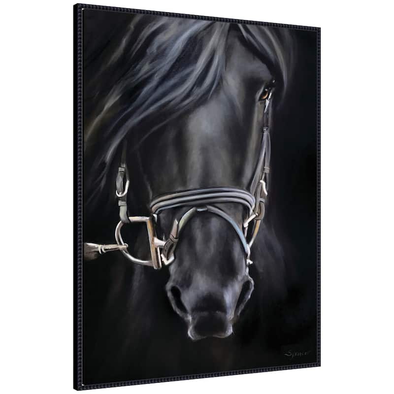 Kate and Laurel Ebony Splendor by Mary Sparrow Framed Canvas Wall Art Print - 32 x 42