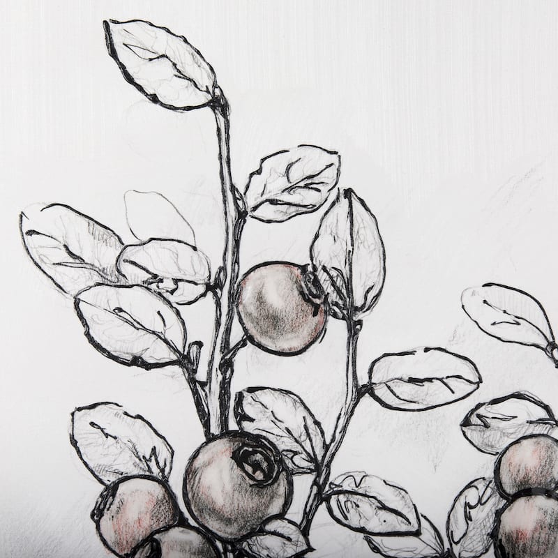 Wildberry Collection Hucklberry (36 x 48) Canvas Art Print