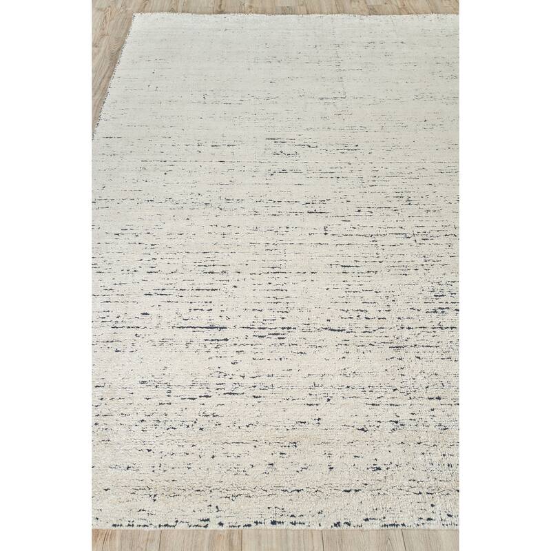 EXQUISITE RUGS Montero Hand-loomed Wool/PET yarn yarn Ivory/Navy Area Rug.