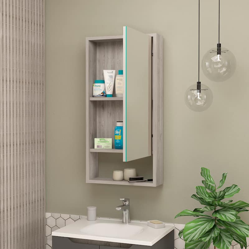 Burlington Rectangle Medicine Cabinet with Mirror