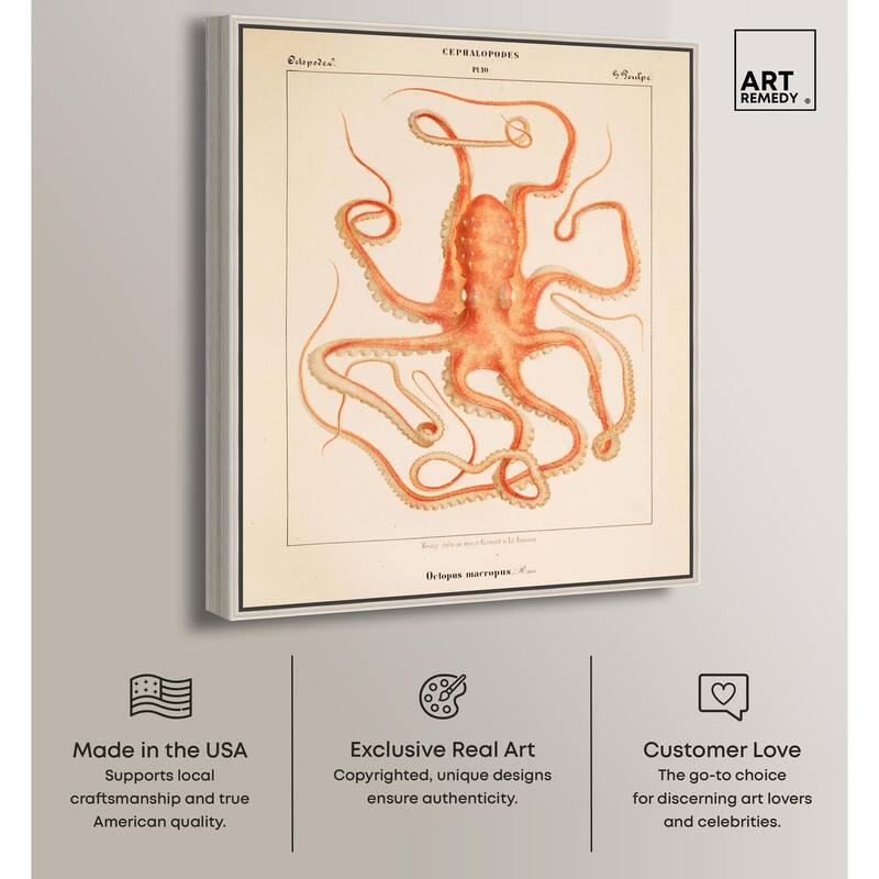 Verany The Octopus 1815 I Canvas by Art Remedy
