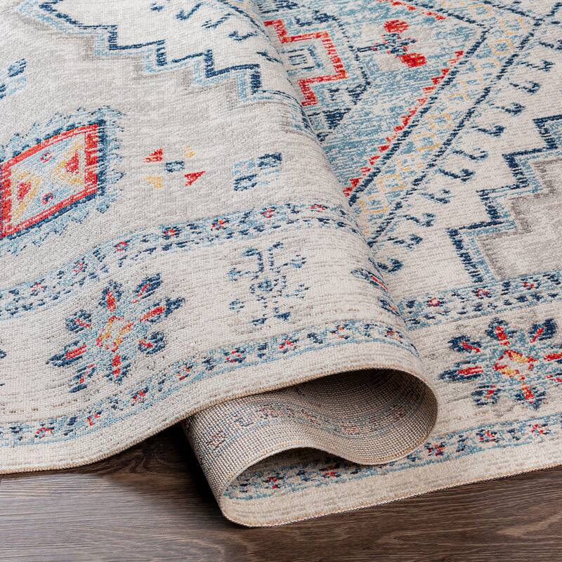 Livabliss Frenella Indoor/ Outdoor Distressed Boho Area Rug