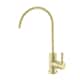 Option Brushed Gold