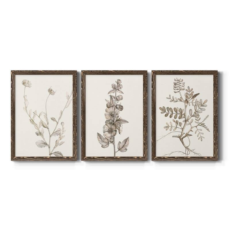 Neutral Botanical Study IV-Premium Framed Canvas - Ready to Hang - Multi-Color - 22X30 - Walnut