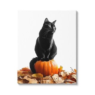 Stupell Black Cat & Pumpkin Canvas Wall Art Design by Annalisa Latella ...