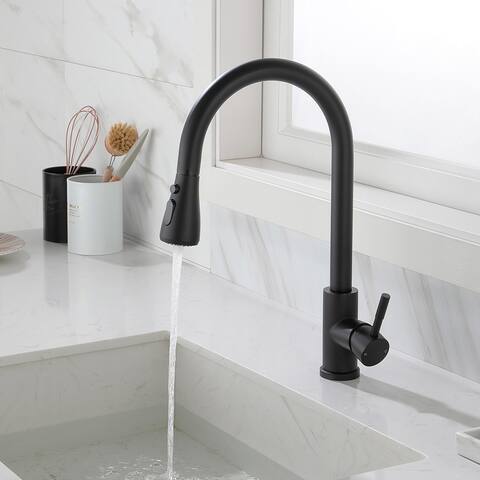 Kitchen Faucet with Pull Out Spraye Black