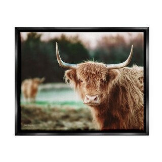 Stupell Highland Cattle Gazing Photography Floating Framed Canvas Wall ...