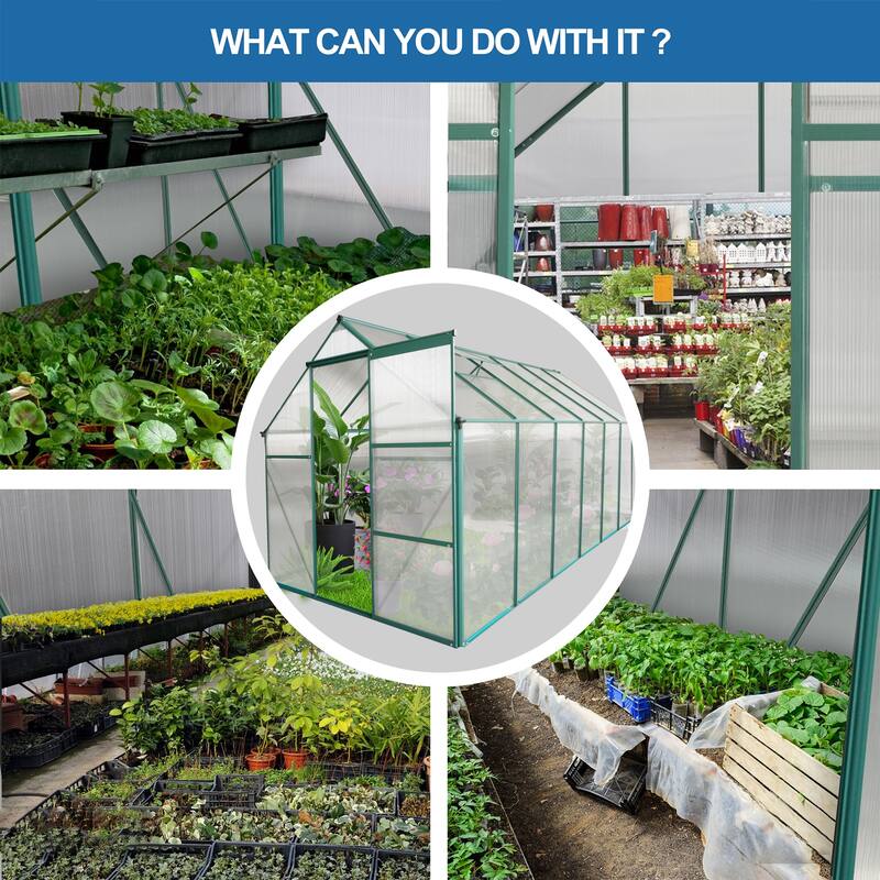 6x12 FT Polycarbonate Greenhouse Raised Base and Anchor Aluminum Heavy Duty Walk-in Greenhouses in All Season