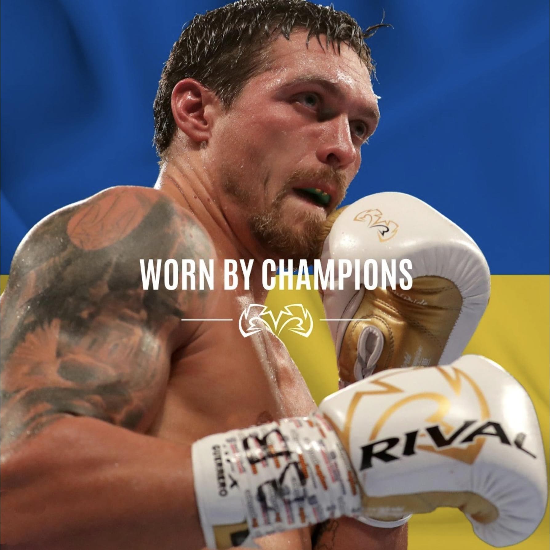 Rival Boxing RFX-Guerrero HDE-F Pro Fight Lace-Up Boxing Gloves