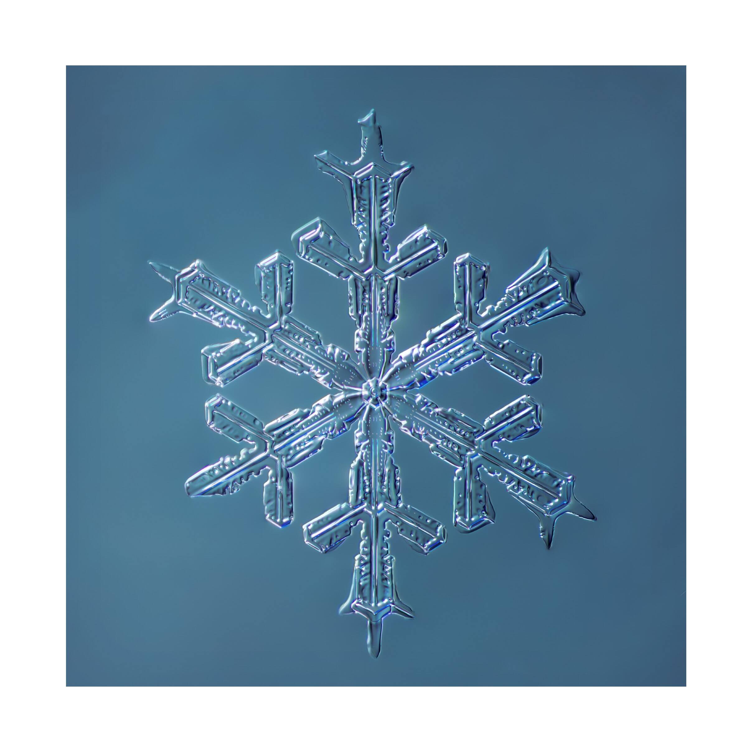Print Collection 'Stellar Dendrite Snowflake 1' Canvas Art - Bed Bath