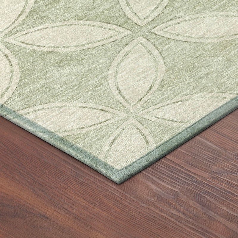Machine Washable Indoor/ Outdoor Modern Gia Chantille Rug