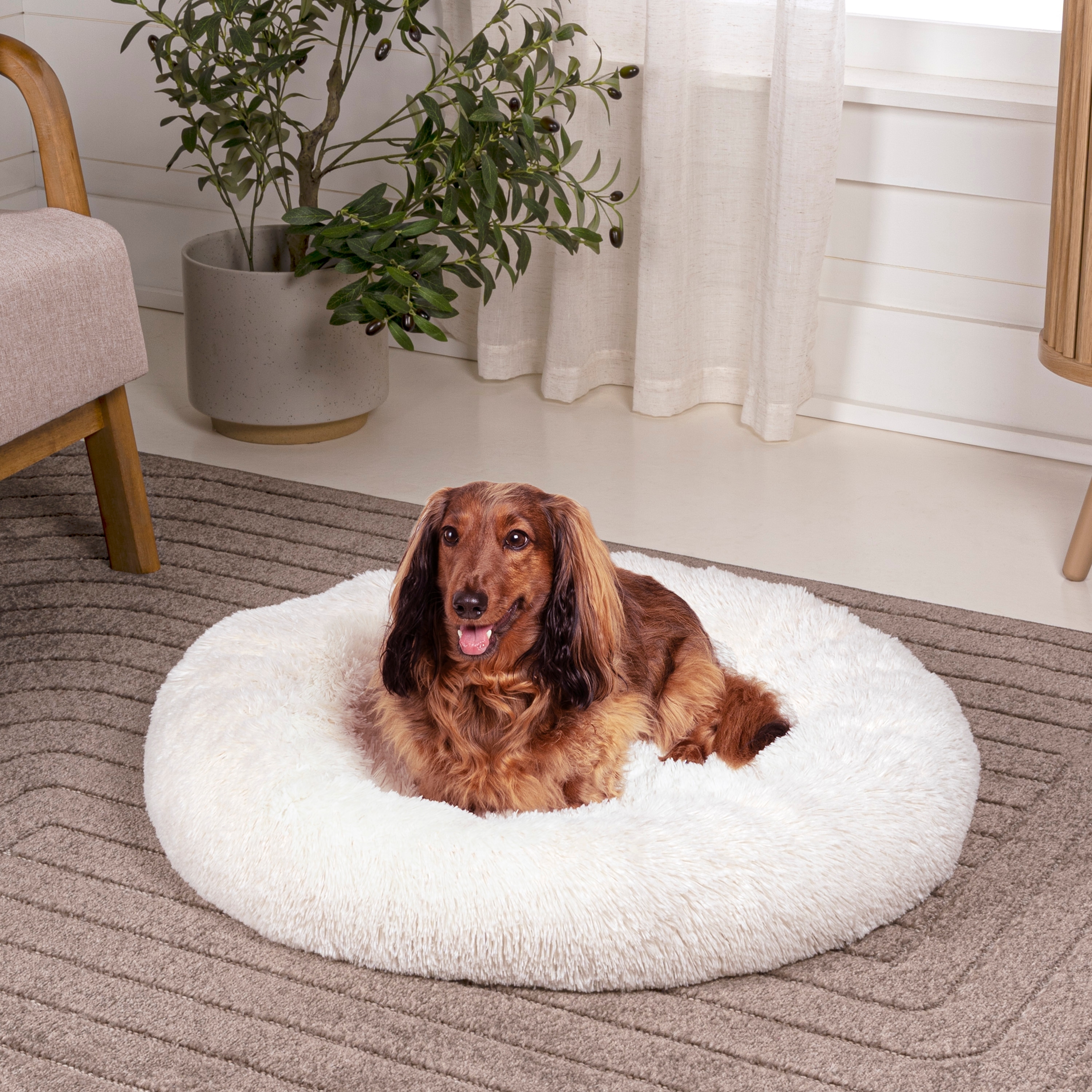 Extra large round dog bed shop