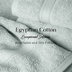 preview thumbnail 79 of 197, Superior Egyptian Cotton 6 Piece Towel Set Ultra Plush & Absorbent Bath, Hand & Face Towels, Heavyweight Spa Quality
