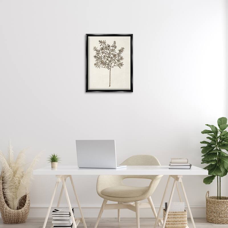 Stupell Vintage Study of Olive Tree Framed Floater Canvas Wall Art Design By Phillipa Katz
