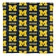 preview thumbnail 53 of 58, NCAA Rotary 7-piece Queen Bed in a Bag Set