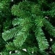 preview thumbnail 3 of 3, Full Colorado Spruce Artificial Christmas Tree - 12 - Unlit