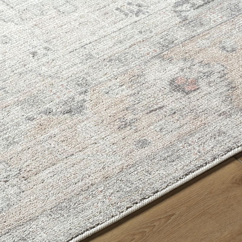 Valeria Traditional Oriental Area Rug