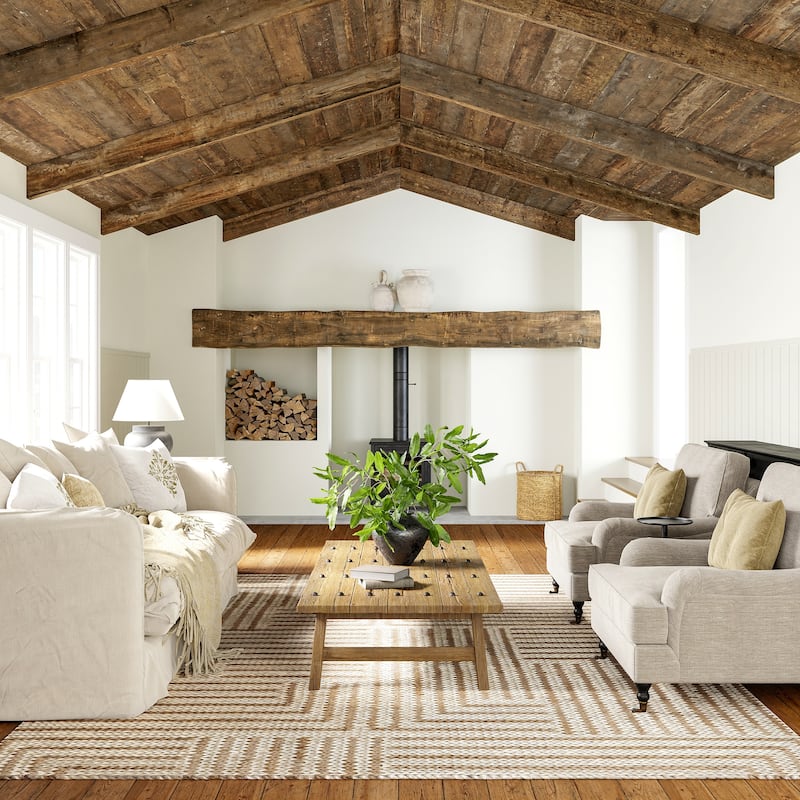 Grassland Handwoven Jute Area Rug - 4' x 6' - Ivory