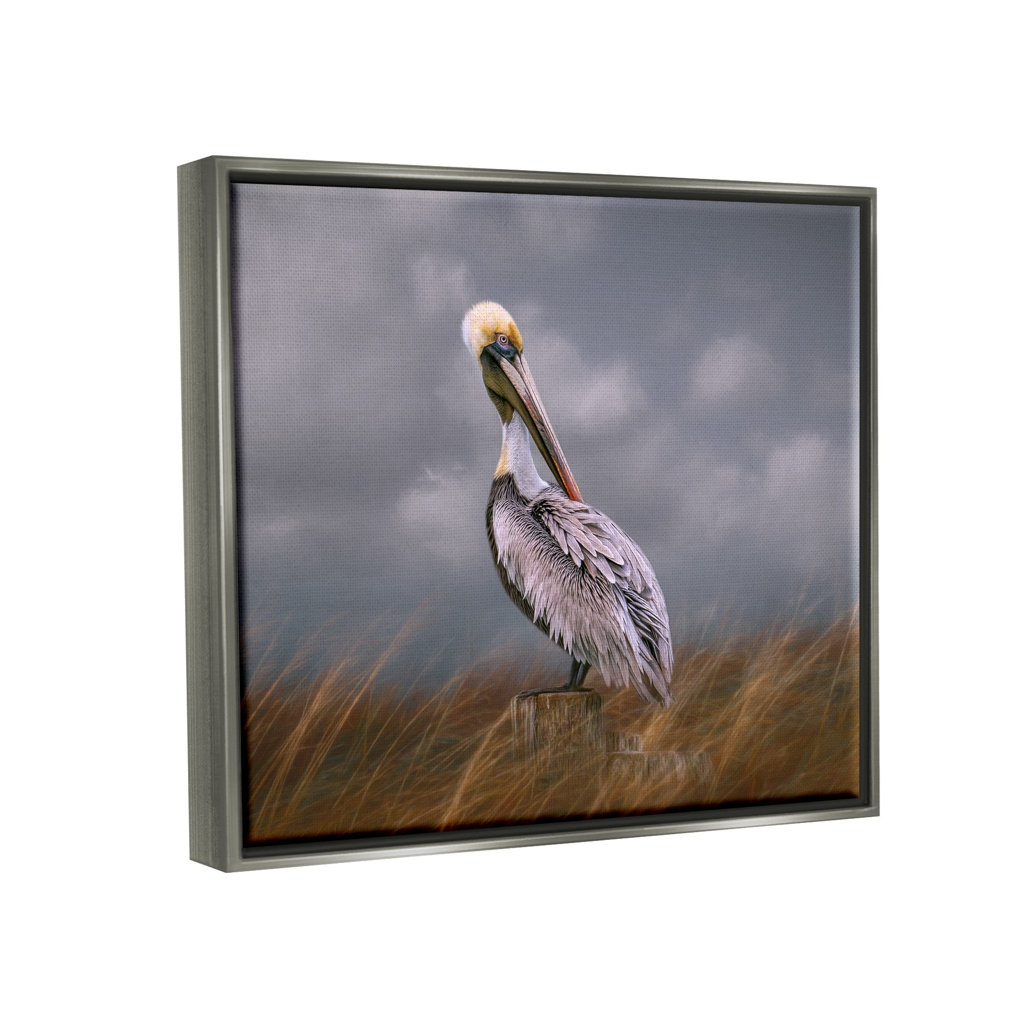 Stupell Industries Wildlife Pelican Bird Cloudy Sky Framed Floater Canvas  Wall Art by Kelley Parker Bed Bath  Beyond 37555679