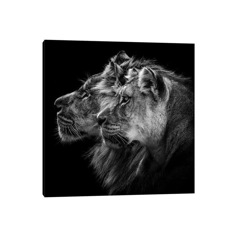 iCanvas "Lion And Lioness Portrait" by Laurent Lothare Dambreville Canvas Print