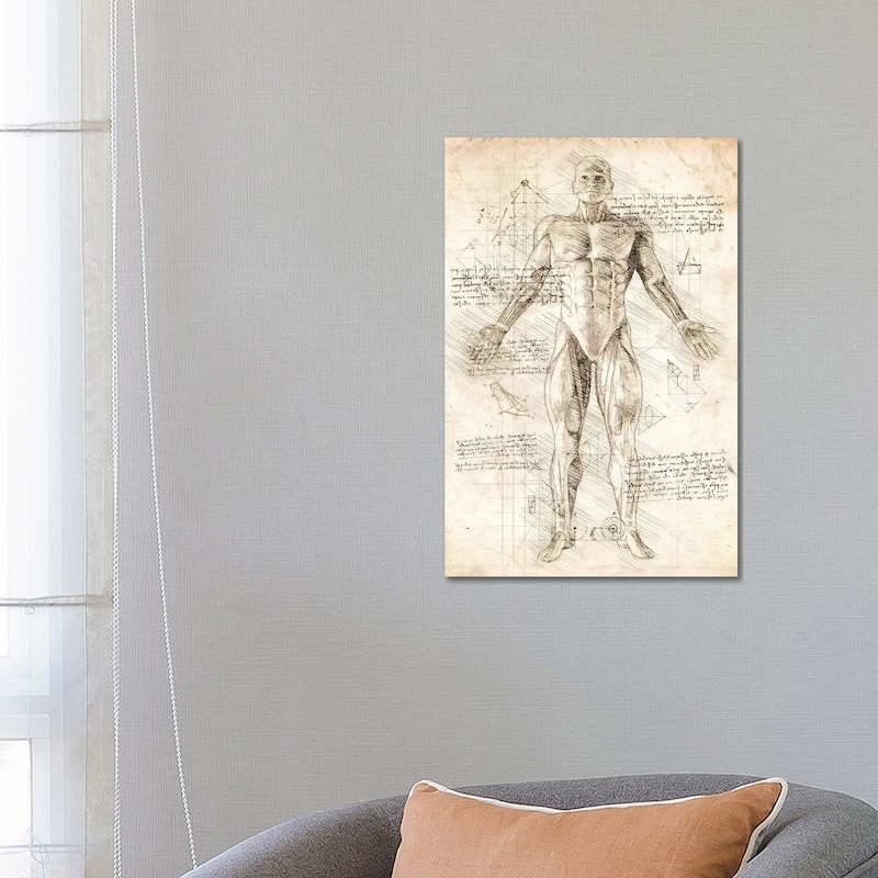 iCanvas "Human Male Muscles Anatomy" by Cornel Vlad Canvas Print - 26x18x1.5