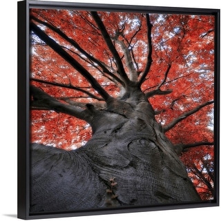 Shop Red Tree In Autumn Black Float Frame Canvas Art Overstock
