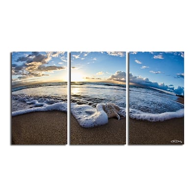 Ready2HangArt 'Sea Star' 3-Piece Wrapped Canvas Wall Art Set