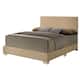 Option Beige