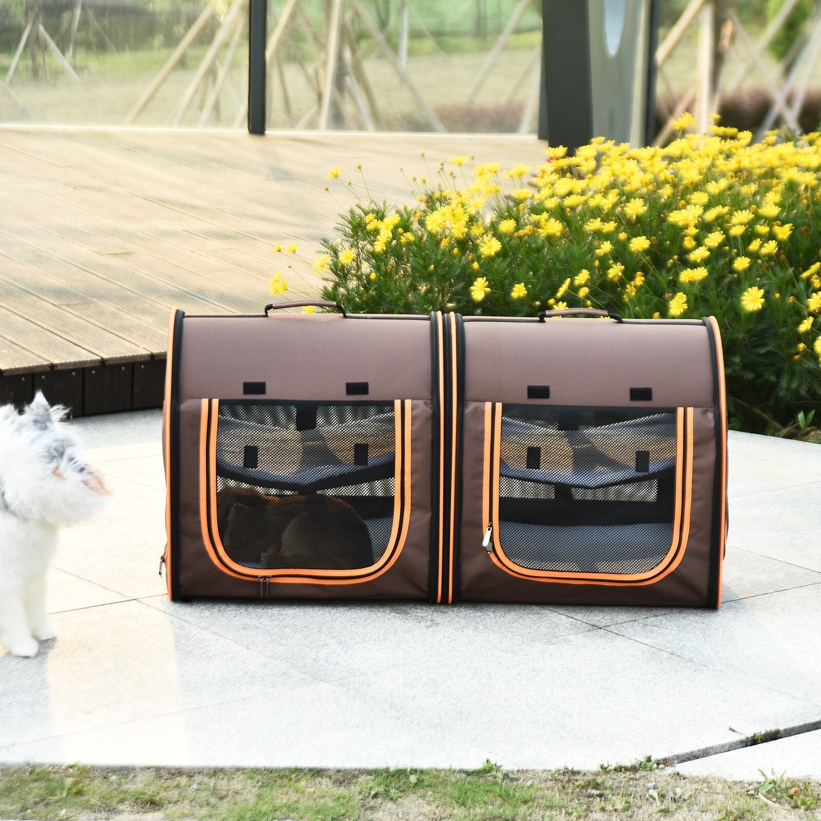dual pet carrier