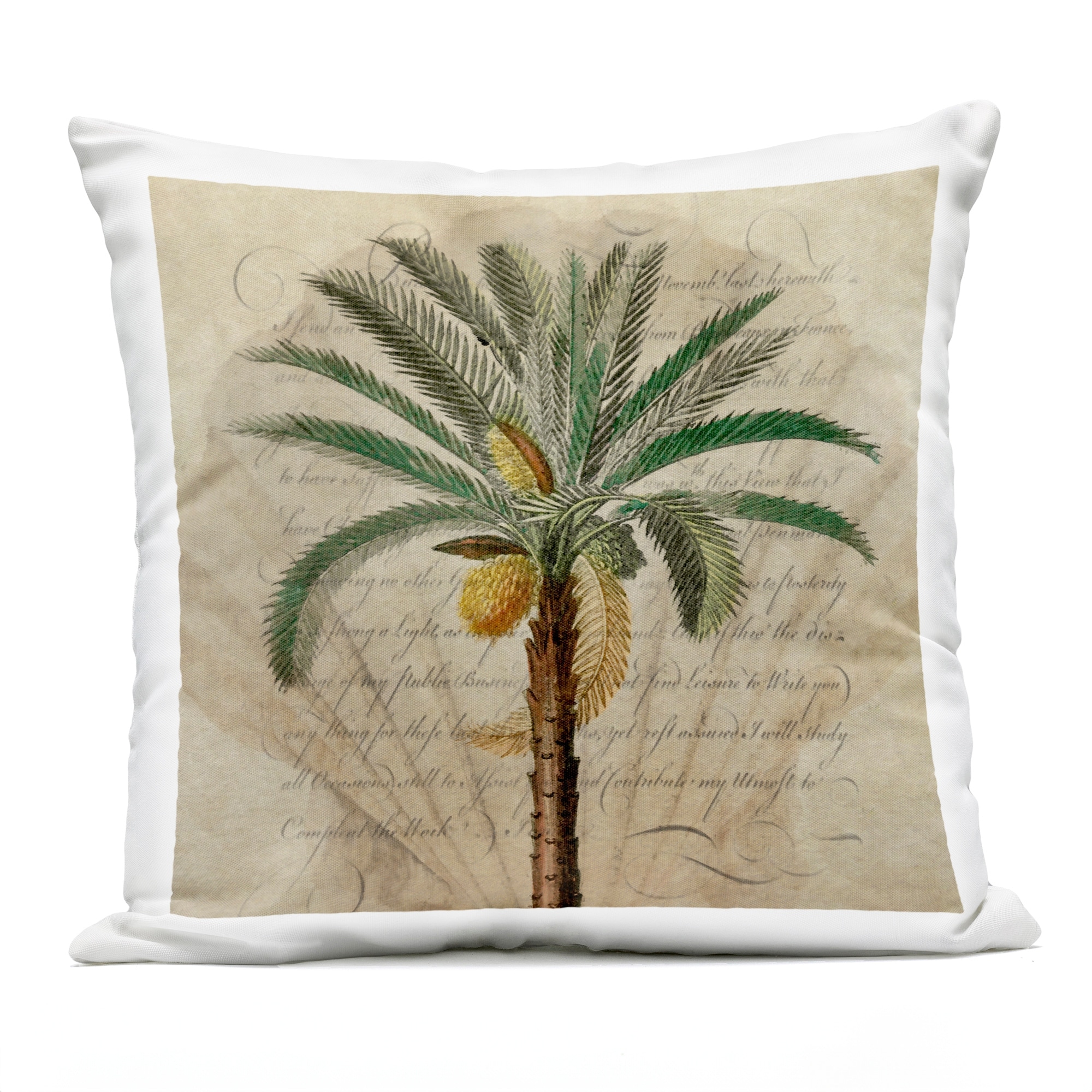 Stupell Vintage Subdued Palm Printed Outdoor Throw Pillow Design by Steve Hunziker