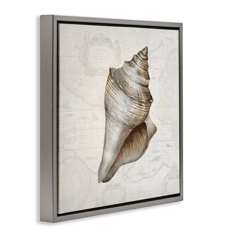 Stupell Conch Shell over Vintage Map Framed Floater Canvas Wall Art Design By Conrad Knutsen