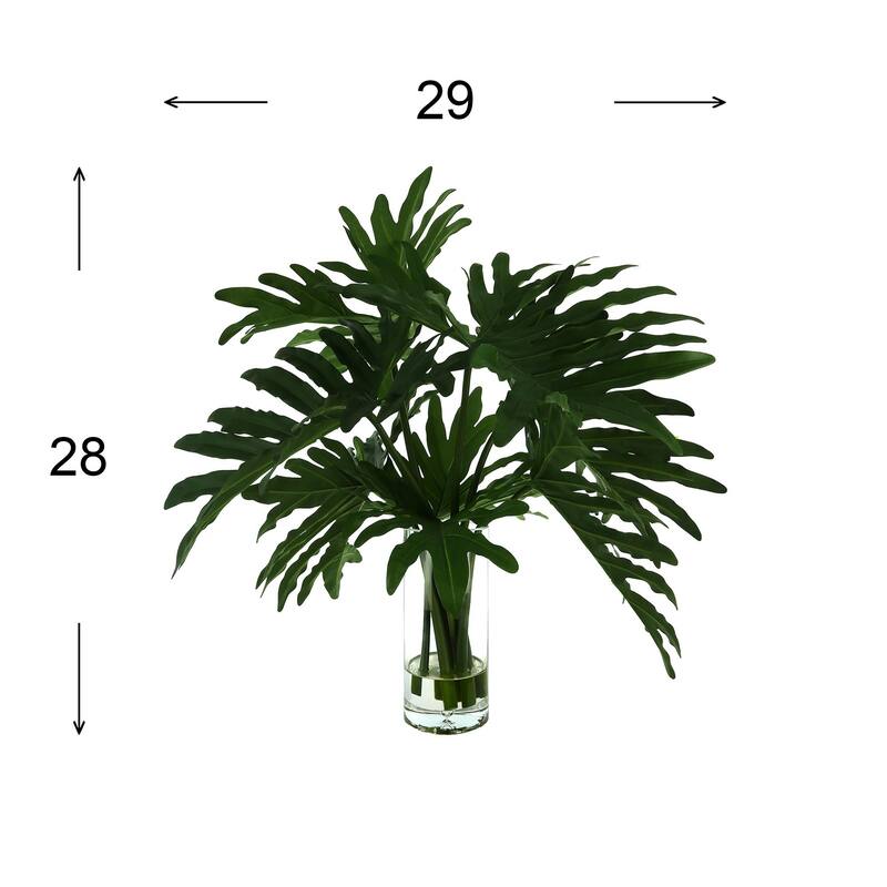 Organic Modern Philodendron Arranged in Glass Vase - Green