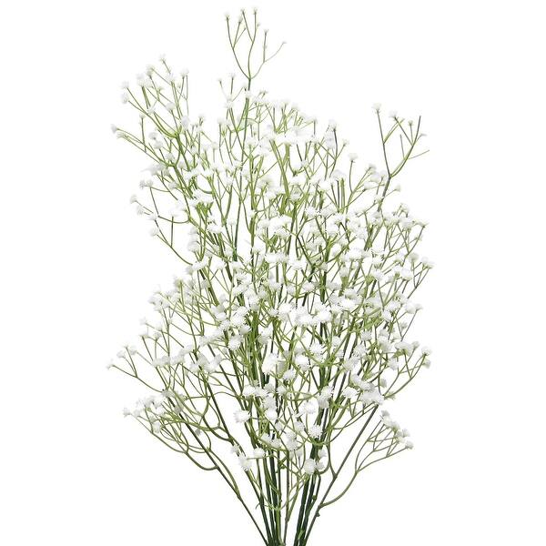 Set Of 12 Baby S Breath Gypsophila Plastic Filler Flower 24in 24 L X 6 W X 2 5 Dp Overstock Set Of 12 Baby S Breath Gypsophila Plastic Filler Flower 24in 24 L X 6 W X 2 5 Dp Overstock