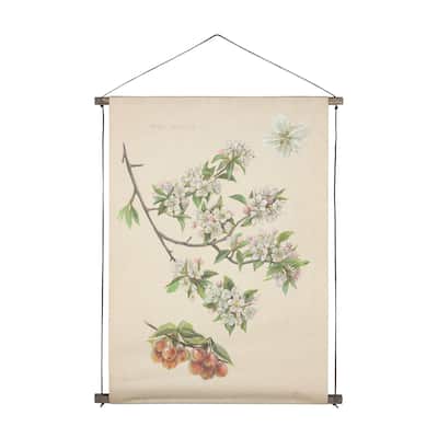 Botanical Study-Malus Sylvestris