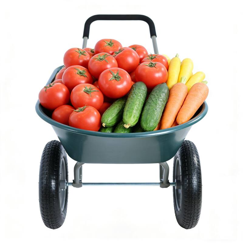 15 inch wheel barrow Two wheeled trolley for green garden