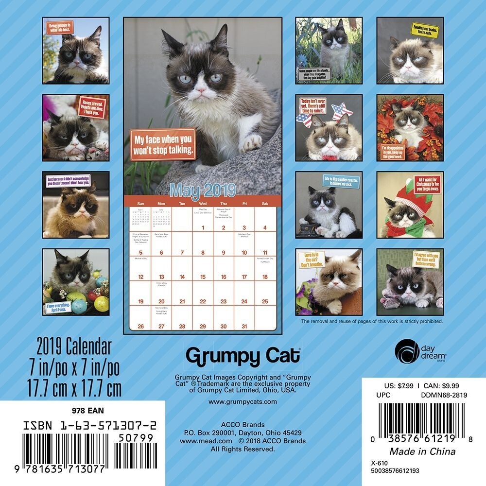 Shop 2019 Grumpy Cat 2019 Mini Wall Calendar Funny Cats By Acco
