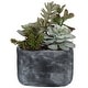 preview thumbnail 2 of 2, Uttermost Alverio Desert Garden Succulents