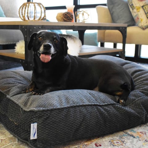 Kotter Home LiveSmart Orthopedic Indoor/Outdoor Dog Bed