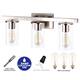3-Light Vanity Light with Clear Glass Shades