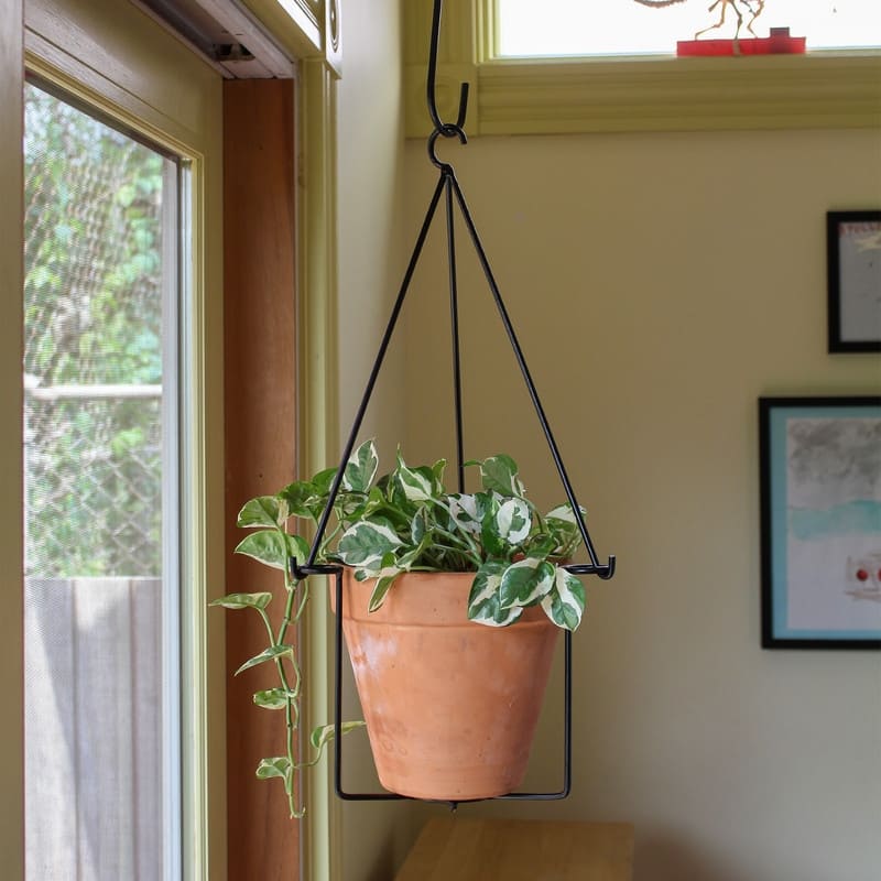 Achla Designs 22.5"H Black Powdercoated Wrought Iron Indoor/Outdoor Vera Plant Hangers (Set of 2)