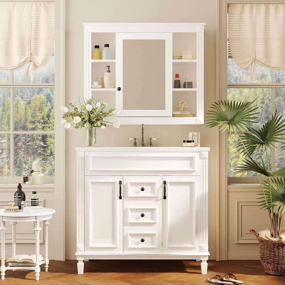 Modern Single Sink Bathroom Vanity with 2 Doors, 2 Drawers & Mirror Cabinet