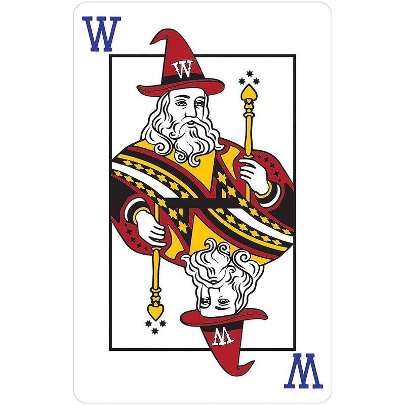 Wizard Card Game (Omnibus Edition)