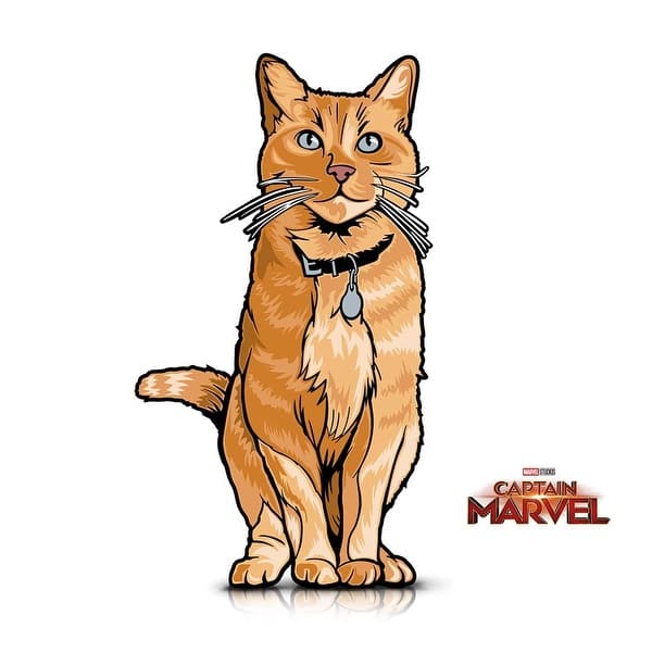 Shop Funko Pop Marvel Captain Marvel Masked Chase And Figpin Mini Captain Marvel Goose The Cat Overstock 27869555
